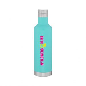 Branded 25 oz h2go Noir Matte Mint